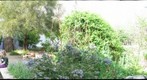 CDM Garden