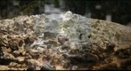 Sulfur Vents, Hawaii Volcanoes National Park