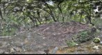 Creek in Garin Park