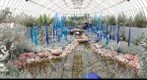 Blue Marlins, Cobalt Fiori, Cobalt Reeds and Niijima Floats