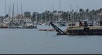 090408 Santa Barbara harbor point to Sea Landing to beach fr wharf pse7
