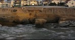 La Jolla Seals