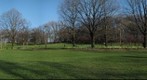 Springtime in Schenley Park