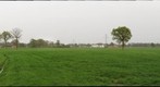 2e  Gigapan experiment : weiland buiten Haaksbergen 12x zoom