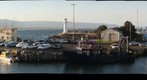 Wedding Parties at Belmore Basin Harbour in Wollongong Australia