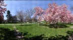 whereRU: William The Silent in Spring