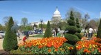 The Nation's Capitol on a Spring day