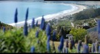Stinson