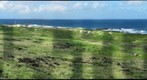 Ka`ena Point, O`ahu