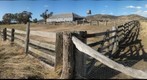 shearing shed