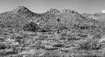 Joshua Tree National Park