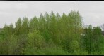 pano borgloon