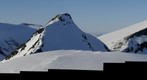Litlsomrungsnebba