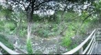 Waller Creek
