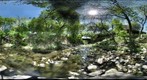 Waller Creek Austin TX