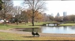 West Park, North Side of Pittsburgh