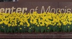 Spring 2009 - Earth Day (5)