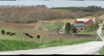 Farm along 981 near Mount Pleasant PA