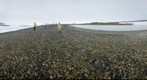 franz josef land, northpole eclipse 2008