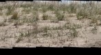 Rainbow Beach Gigapan
