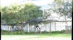 Rex @ Google