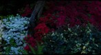 Japanese Flower Garden