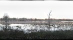 Laguna de Santa Rosa from High School Road (l36)