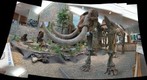 mastodon  display st louis mo jim trotter
