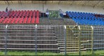 vasas1