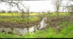 Fields near Sebastopol
