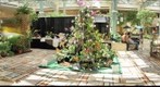 2009 AOS / HOS Spring Show