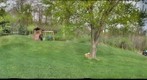 My Backyard