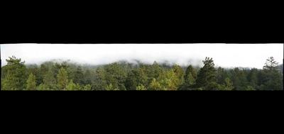 2222-400x189