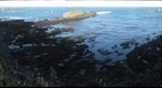 Abalone Cove