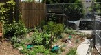 Strange Attractor at the Page St Community Garden