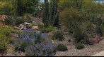 Garden 3