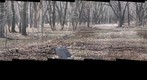 Hegewisch Marsh Gigapan