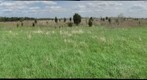 gigapan 1