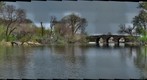 Jackson Park-Japanese Gardens