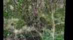 Washington Park Wetland Ecosystem GigaPan #2 05/04/2009