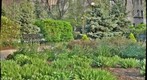 Prairie Ecosystems: Midway Plaisance