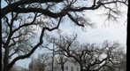 Galveston