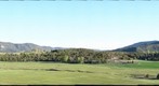 Colorado Deer Hunt
