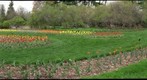 Dow Gardens - Midland, Michigan - 5 of 8