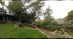 Backyard in Thousand Oaks, Berkeley 