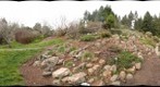 Tilden Park Botanical Gardens 2