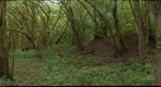 Corylus at Deisermillen(.lu)