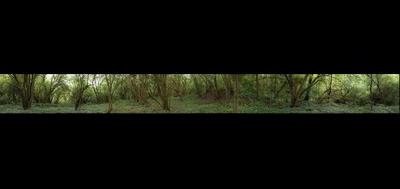 22836-400x189