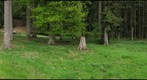 Sortie-GRM(2009-05-09)#2