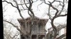 Galveston house with dead trees 2